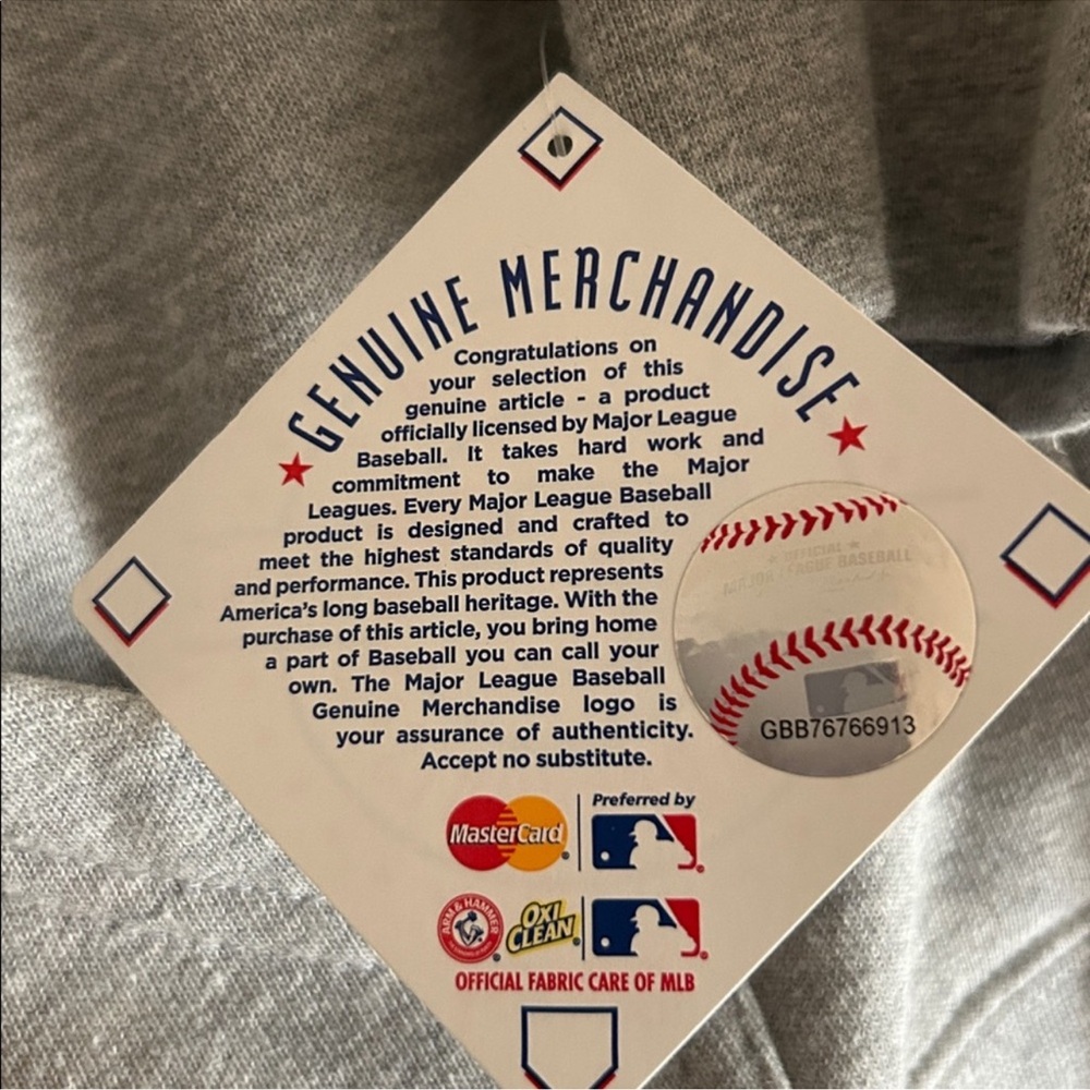 American League Champion Hoodie Houston Astros - Picture 6 of 7